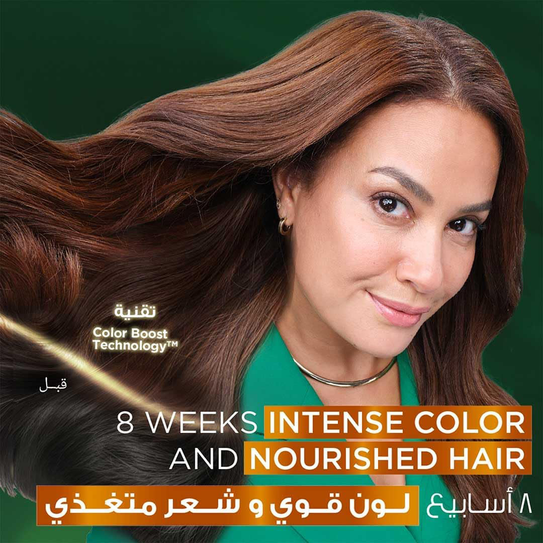 GARNIER COLOR 5 LIGHT BROWN