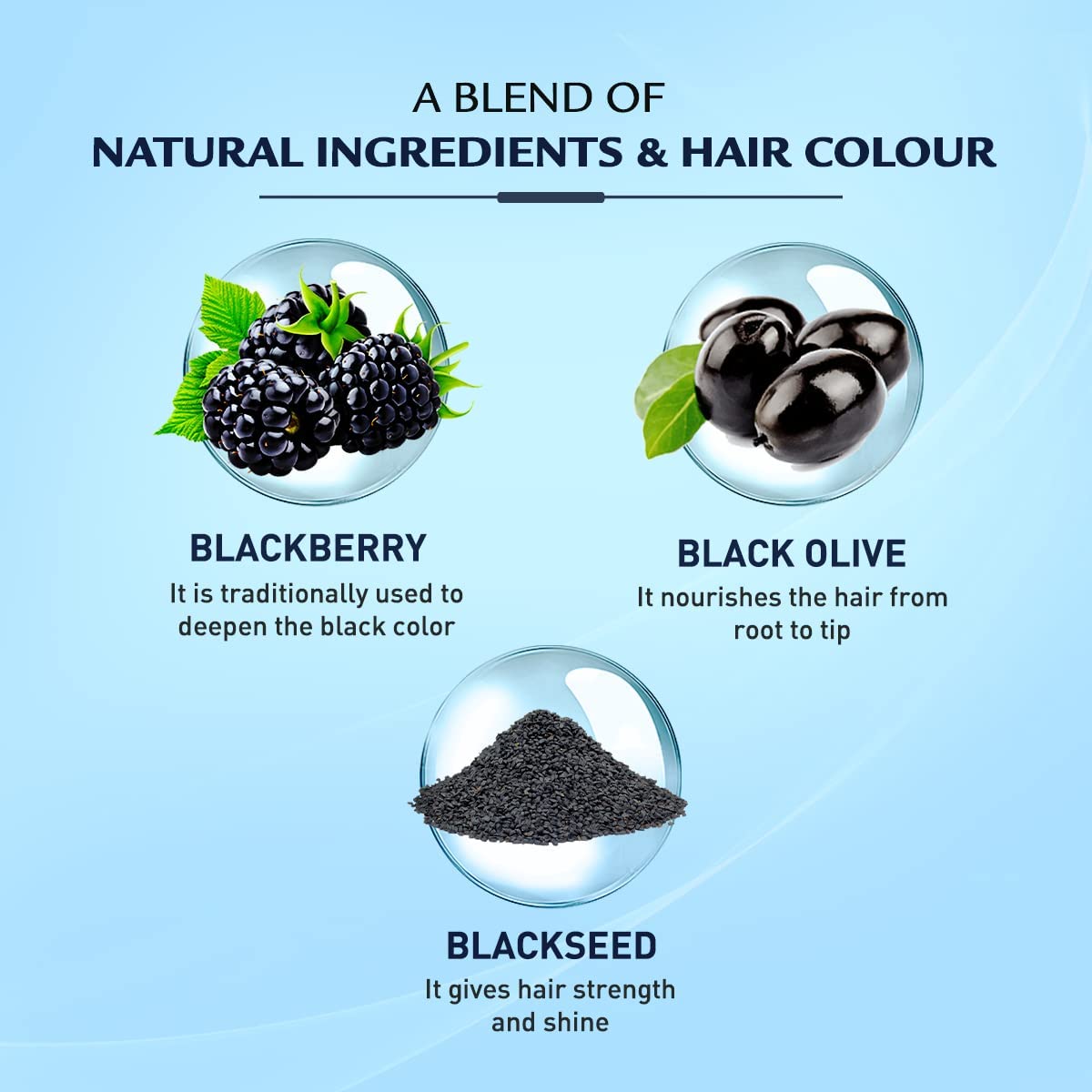 VATIKA COLOR KIT 1.0 BLACK