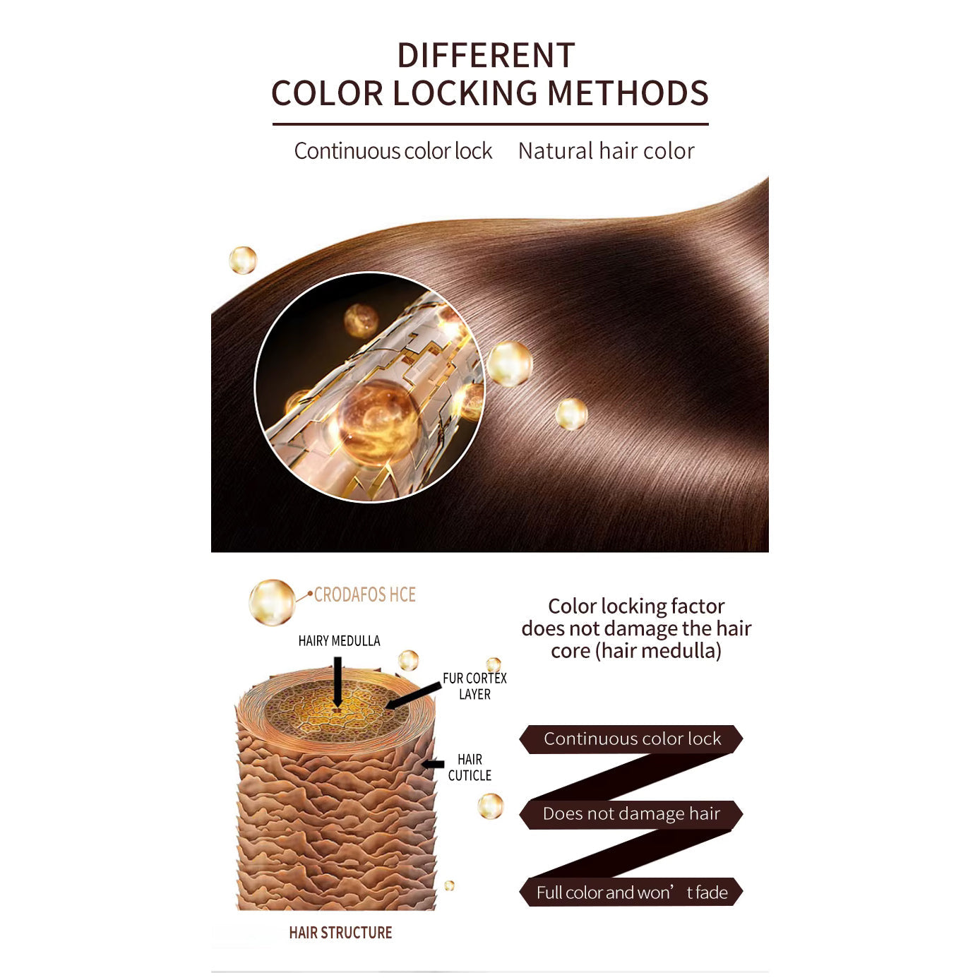 ESTELIN COLLAGEN&ARGAN OIL SHAMPOO BROWN