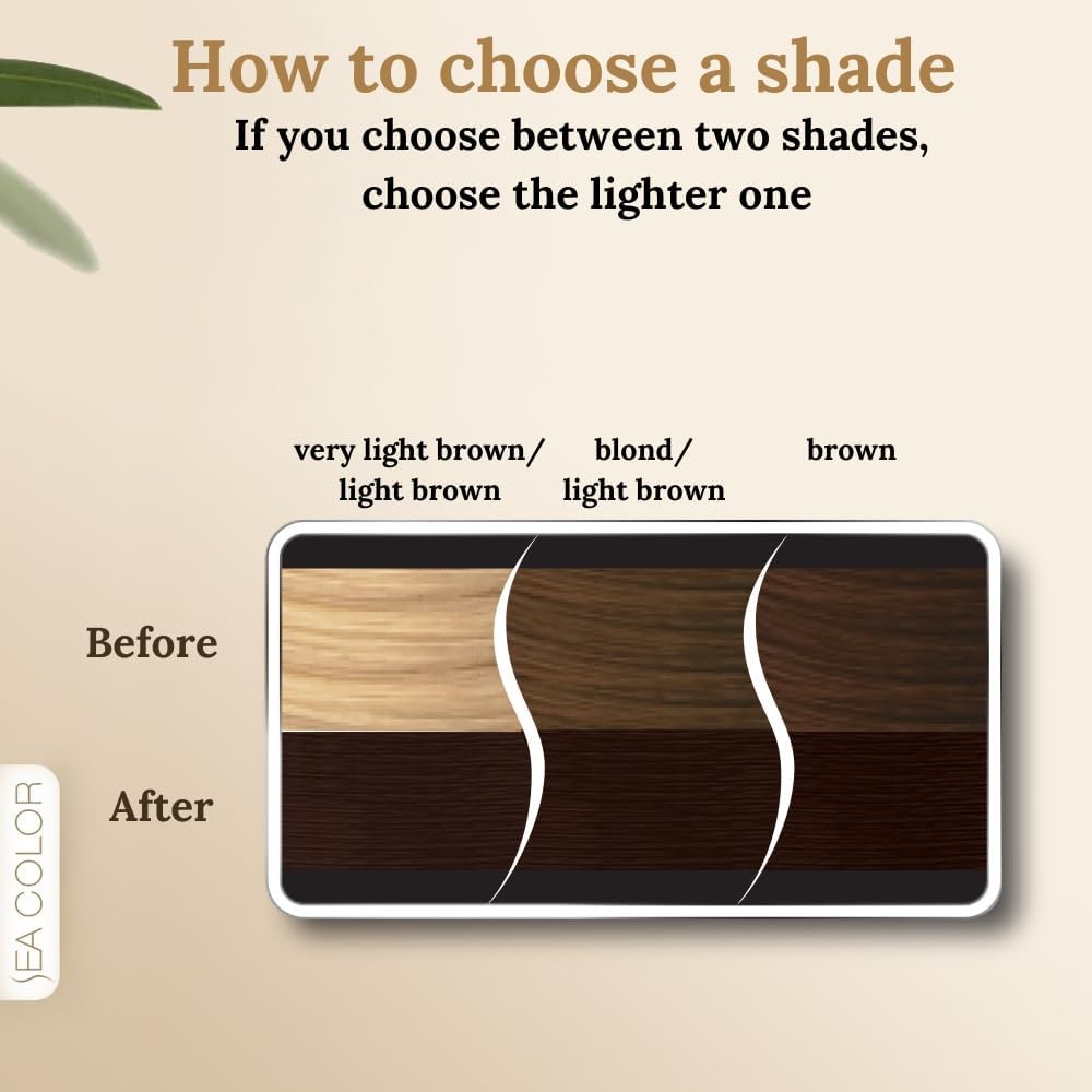 SEA COLOR HOME COLORIST 5.0