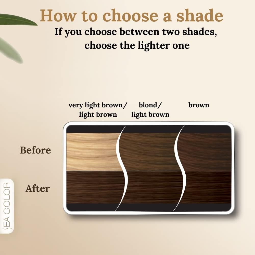 SEA COLOR HOME COLORIST 6.0