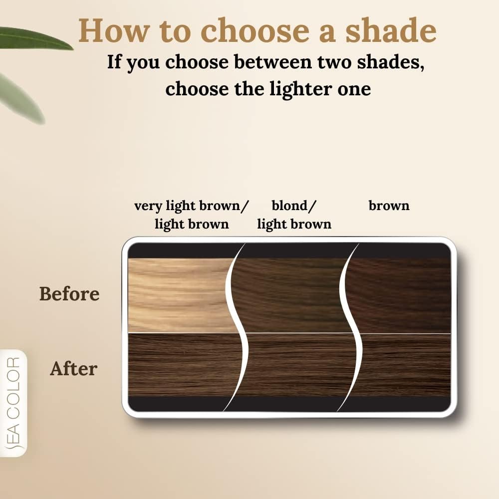 SEA COLOR HOME COLORIST 7.0