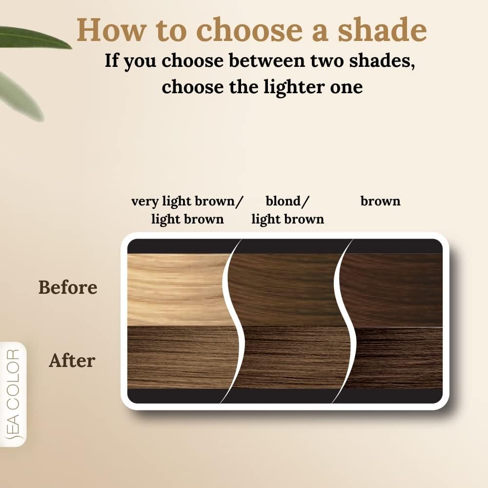 SEA COLOR HOME COLORIST 8.0