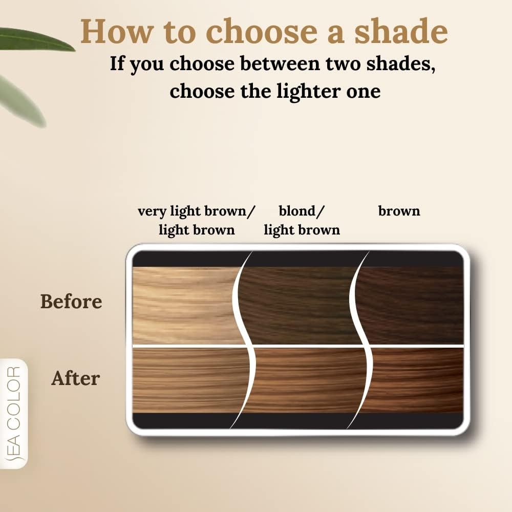 SEA COLOR HOME COLORIST 8.3