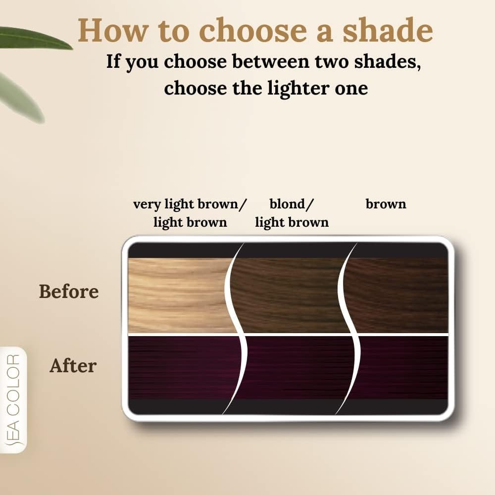 SEA COLOR HOME COLORIST 3.66