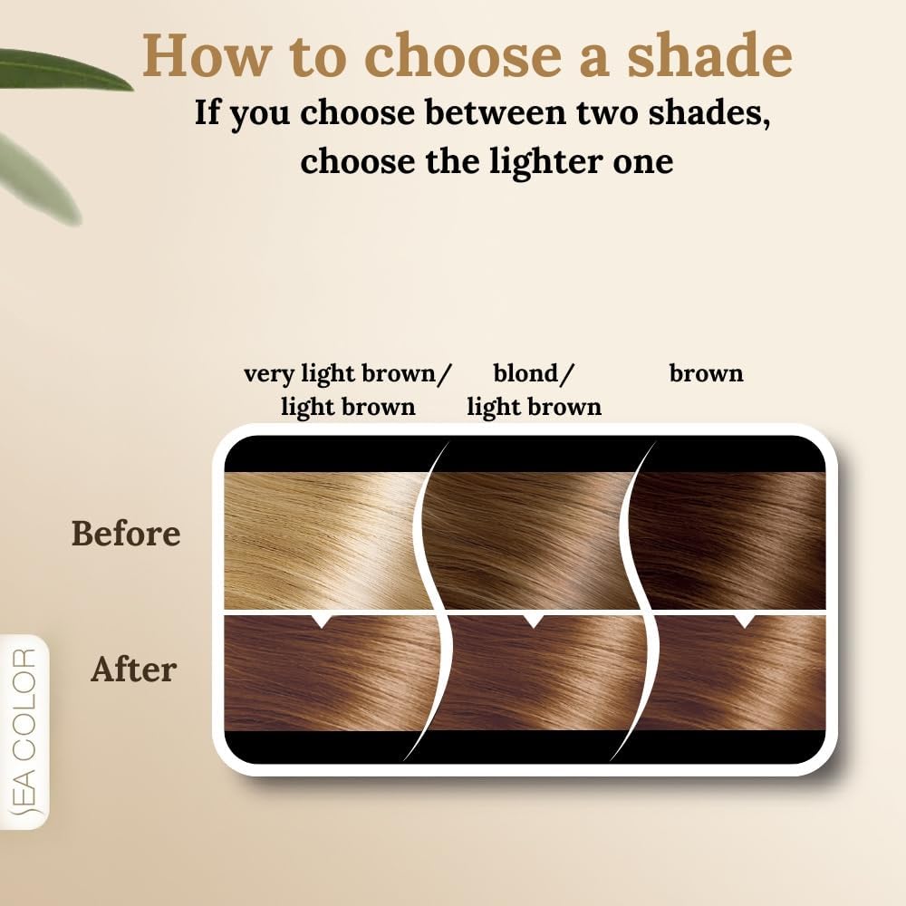 SEA COLOR HOME COLORIST 8.37