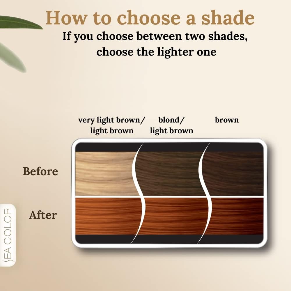 SEA COLOR HOME COLORIST 8.45