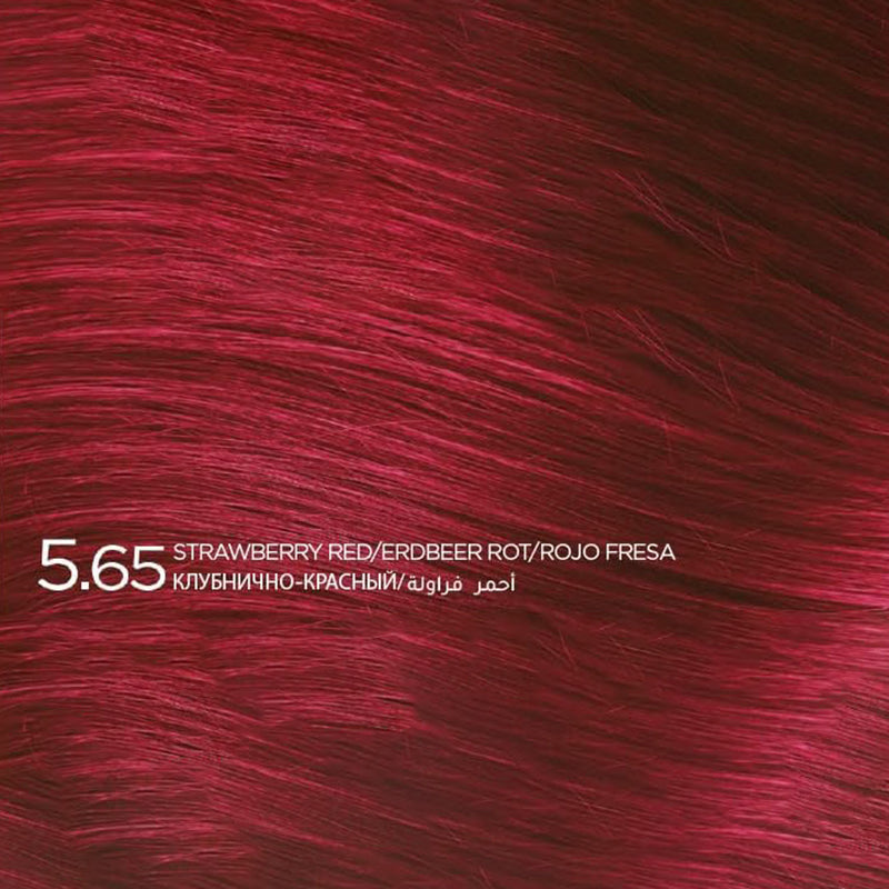 SEA COLOR HOME COLORIST 5.65