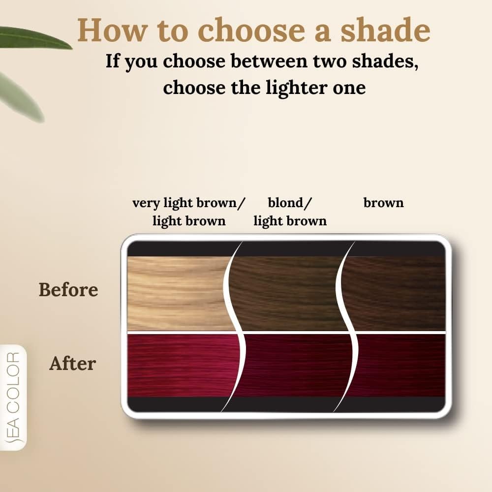SEA COLOR HOME COLORIST 5.65