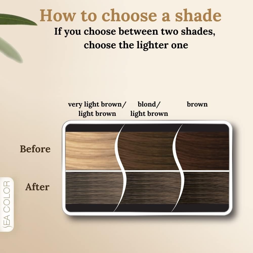 SEA COLOR HOME COLORIST 8.1