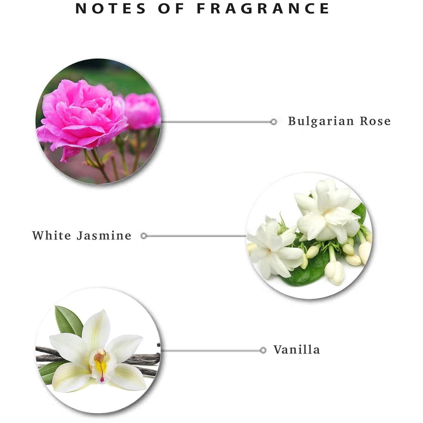 EnchantEUr Romantic Shower Gel, Shower Experience With Fine Floral Fragrance, 550 ml