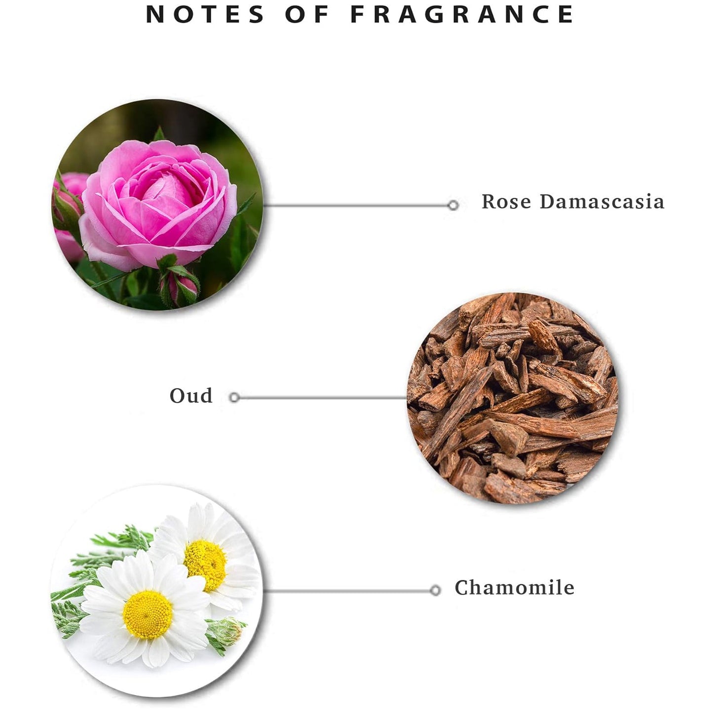 ENCHANTEUR SG ROSE OUD AMOUR 550ML