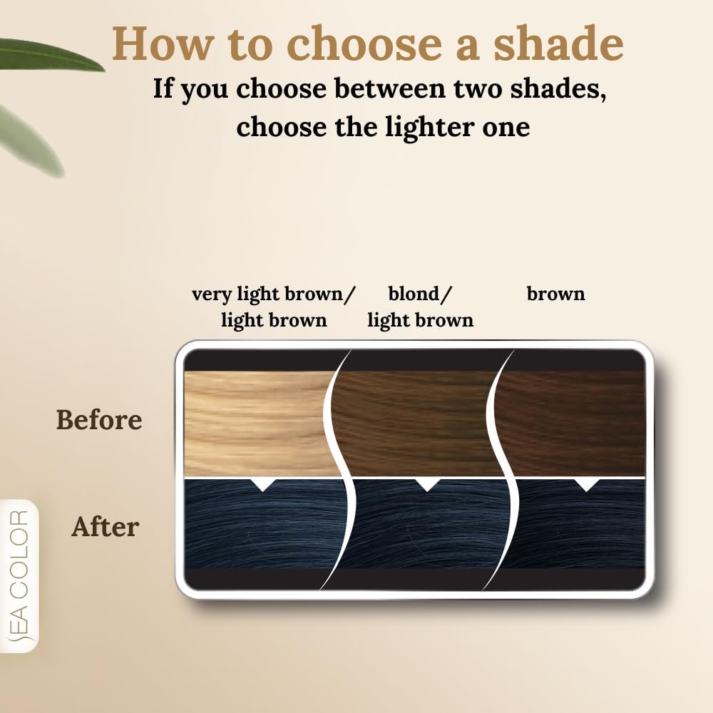 Sea Color More Intense Gray Hair Coverage Home Colorist Color Expert In The House- 1.1 Night Blue