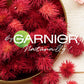 GARNIER COND CASTOR OIL 400ML
