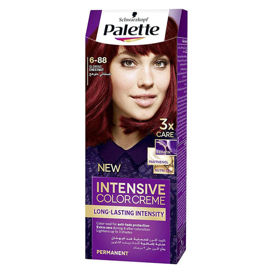 PALETTE HAIR COLOR 6-88