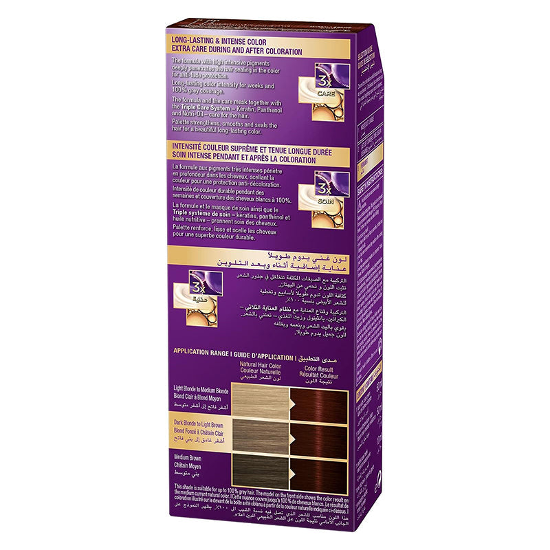 PALETTE HAIR COLOR 6-80