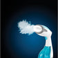 BD HANDHELD GARMENTS STEAMER