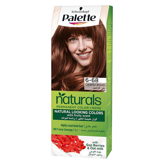 PALETTE HAIR COLOR CREME 6-68