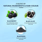 VATIKA COLOR KIT 1.0 BLACK
