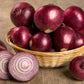 COSMO ONION OIL SHAMPOO 1000ML