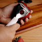 ROYALFORD MARBLE Y-PEELER