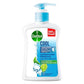 DETTOL H/W COOL 200ML