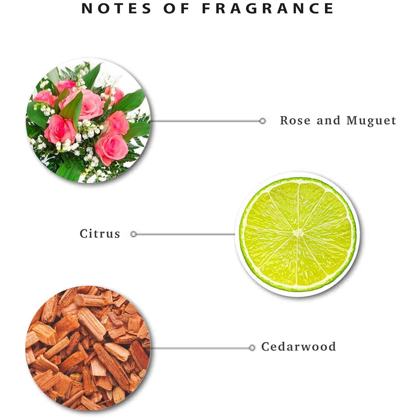 ENCHANTEUR SG CHARMING 550ML