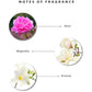 ENCHANTEUR SG ENTICING 550ML