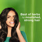 HIMALAYA SHAM SOFTNESS SHINE 400ML