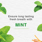 HIMALAYA MINT FRESH T/PASTE 100ML