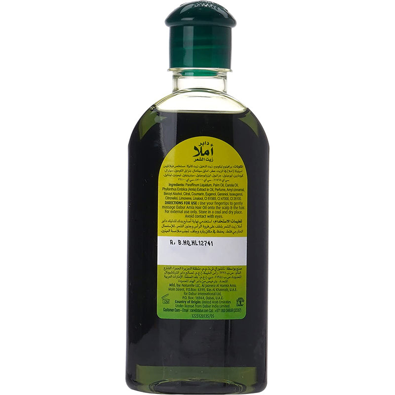 Dabur Amla Hair Oil, 100ML – Evisu Trading LLC