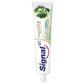 Signal Complete 8 Toothpaste - Herbal Gum Care, 100ml