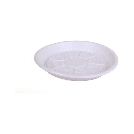 Hotpack Disposable Plastic Round Food Serving Plate 10 inch, 25 PCS