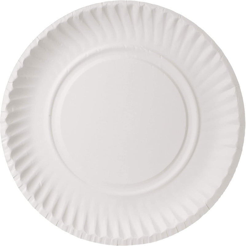 Hotpack Paper Plate, 9 inch, 100 PCS