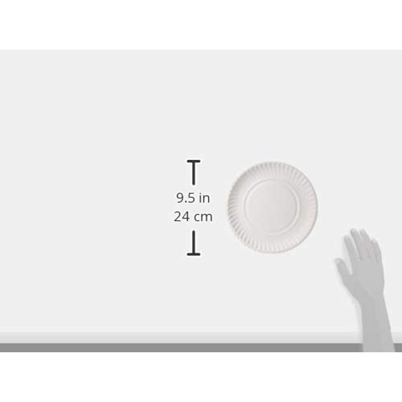 Hotpack Paper Plate, 9 inch, 100 PCS